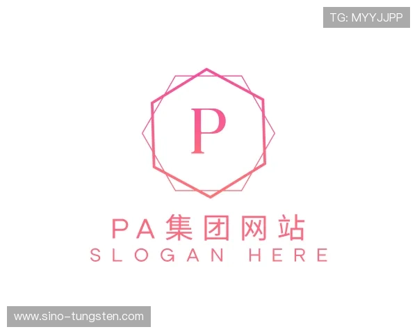 发现PA集团